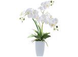 Möbelix , Weiß , Keramik , 67 cm , Dekoration, Blumen & Blumentöpfe, Kunstblumen