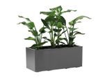 Möbelix , Anthrazit , Kunststoff , 99.5x39.5x39.5 cm , stabil, wetterbeständig, UV-beständig , Freizeit im Garten, Gartenpflege, Pflanzenpflege, Blumen- & Pflanzkasten