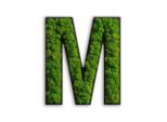 Möbelix , Grün , Naturmaterialien , Kork , 25x21x4 cm , keine Beleuchtung notwendig, pflegefrei – nicht gießen oder besprühen, einfache und schnelle Anbringung , Dekoration, Bilder & Rahmen, Bilder, Moosbilder