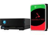 LACIE HDD-NAS-Festplatte "1big Dock", schwarz, 10 TB, Festplatten, HDD-NAS-Festplatte
