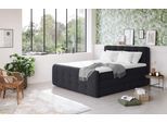 Boxspringbett COTTA "Fort mit Bettkasten, inkl. Topper", schwarz, B:201cm L:228cm, 100% POLYESTER (PES), Komplettbetten, Boxspringbett, erhältlich in verschiedenen Breiten (160cm, 180cm & 200cm)
