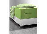 Spannbettlaken FLEURESSE "Comfort XL", grün (apfelgrün), 1 Stk., Mako-Jersey, 140x200 140x210 140x220 150x200 150x210 150x220 160x200 160x210 160x220 40cm, Mako-Jersey, Obermaterial: 96% Baumwolle, 4% Elasthan (LYCRA), Bettlaken, Spannbettlaken, Mako-Jersey, für Matratzen bis 40 cm Höhe, Bettlaken, Spannbetttuch