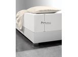 Spannbettlaken FLEURESSE "Comfort XL", beige (naturweiß), 1 Stk., Mako-Jersey, 140x200 140x210 140x220 150x200 150x210 150x220 160x200 160x210 160x220 40cm, Mako-Jersey, Obermaterial: 96% Baumwolle, 4% Elasthan (LYCRA), Bettlaken, Spannbettlaken, Mako-Jersey, für Matratzen bis 40 cm Höhe, Bettlaken, Spannbetttuch