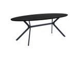 Livetastic , Schwarz , Holzwerkstoff , oval , 100x75x220 cm , Variantenauswahl ,