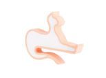 Möbelix , Pink , Kunststoff, Holzwerkstoff , 3.5x20.5x28.5 cm , RoHS, Europäischer Sicherheitsstandard , einfach zu transportieren ,