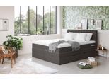 Boxspringbett COTTA "Shark inkl. Bettkasten und Topper", grau (charcoal), B:186cm L:212cm, 100% POLYESTER (PES), Komplettbetten, Boxspringbett, erhältlich in den Breiten 140x200cm, 160x200cm und 180x200cm