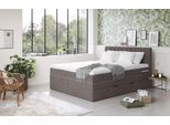 Boxspringbett COTTA "Shark inkl. Bettkasten und Topper", braun (mud), B:166cm L:212cm, 100% POLYESTER (PES), Komplettbetten, Boxspringbett, erhältlich in den Breiten 140x200cm, 160x200cm und 180x200cm