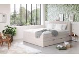 Boxspringbett COTTA "Shark inkl. Bettkasten und Topper", grau (elephant), B:166cm L:212cm, 100% POLYESTER (PES), Komplettbetten, Boxspringbett, erhältlich in den Breiten 140x200cm, 160x200cm und 180x200cm