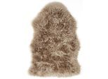 Fellteppich OTTO HOME "Mareile", grau (taupe), B:60cm H:50mm L:85cm, Lammfell, Teppiche, Fellteppich, echtes Lammfell, Uni-Farben, besonders weich, echter Kuschelteppich