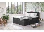 Boxspringbett COTTA "Shark inkl. Bettkasten und Topper", schwarz, B:166cm L:212cm, 100% POLYESTER (PES), Komplettbetten, Boxspringbett, erhältlich in den Breiten 140x200cm, 160x200cm und 180x200cm
