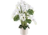 Kunstorchidee CREATIV GREEN "Orchidee Phalaenopsis", beige (creme), H:120cm, Kunststoff, Kunstpflanzen, Kunstorchidee, mit Gräsern und Splitphilo-Blättern