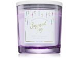 DW Home Winter Wonderland Sugared Fig geurkaars 510 g