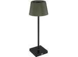 Akku-Tischleuchte Gregoir Schwarz/Dunkelgrün max. 4 Watt