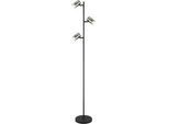 Stehleuchte Trabby Rauchfarben max. 8 Watt