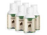 Lyra Pet Lyra Horse Barfer's Solution 100 % Lachsöl für Pferde 3 l