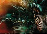 Fototapete LIVING WALLS "Designwalls Jungle Colour", grün (grün, braun), B:3,5m L:2,55m, Vlies, Tapeten, Vlies, Wand, Schräge, Decke