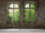 Fototapete LIVING WALLS "Designwalls Old Window", grau (grau, grün), B:3,5m L:2,55m, Vlies, Tapeten, Vlies, Wand, Schräge, Decke