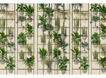 Fototapete LIVING WALLS "Walls by Patel Plant Shop", grün (grün, beige), B:4m L:2,7m, Vlies, Tapeten, Vlies, Wand