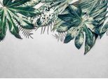 Fototapete LIVING WALLS "Designwalls Leaves Variety 2", grün (grün, grau), B:3,5m L:2,55m, Vlies, Tapeten, Vlies, Wand, Schräge, Decke