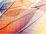 Fototapete LIVING WALLS "Designwalls Limpid Leaf 1", bunt (orange, violett, blau), B:3,5m L:2,55m, Vlies, Tapeten, Vlies, Wand, Schräge, Decke