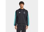 Kapuzensweatshirt ADIDAS PERFORMANCE "MERCEDES - AMG PETRONAS FORMULA 1 TEAM DNA", Herren, Gr. XL, schwarz, semi mint rush, Obermaterial: 55% Baumwolle, 36% Polyester, 9% Viskose, normal, Rundhals, angesetztes Bündchen, Sweatshirts