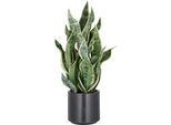 Kunstpflanze CREATIV GREEN, grün (hellgrün), H:66cm, Kunststoff, Kunstpflanzen, Kunstpflanze, im eleganten Pflanzgefäß