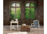 Fototapete LIVING WALLS "Old Windows Vlies", bunt, B:3,5m L:2,55m, Vlies, Tapeten, Fototapete Fenster mit Pflanzen Beige Grau Grün 3,50 m x 2,55 m