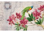 Fototapete LIVING WALLS "ARTist Bird Discovery", bunt (beige, gelb, grün), B:4m L:2,7m, Vlies, Tapeten, Vlies, Wand, Schräge