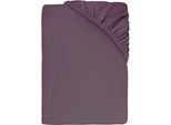 Spannbettlaken DYCKHOFF "Uni", aubergine, B:140cm L:200cm, Jersey, Obermaterial: 95% Baumwolle, 5% Elasthan, Bettlaken, Spannbettlaken, Angenehm weich, besonders flexibel, bis 25cm Matratzenhöhe