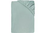 Spannbettlaken DYCKHOFF "Uni", mint, B:140cm L:200cm, Jersey, Obermaterial: 95% Baumwolle, 5% Elasthan, Bettlaken, Spannbettlaken, Angenehm weich, besonders flexibel, bis 25cm Matratzenhöhe