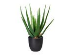 Kunstpflanze 3321103LO-50 Aloe Vera