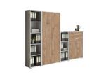 Aktenschrank Office Edition Sw Set 22 Grau/Eichefarben