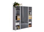 Aktenschrank Office Edition Sw Set 3 hoch Grau