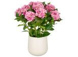 Kunstpflanze Hortensien Pink/Grün ca. 77cm