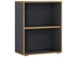 Aktenregal Salia B60 Anthrazit/Honigeiche