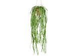Kunstpflanze Rhipsalis Crispata Grün ca. 80cm