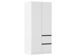 Drehtürenschrank COSTA ca.91x197x54cm Grau Metallic