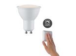 PAULMANN LED-Leuchtmittel "Choose 3er Set Easy 3x5,5W 460lm 2700K 51mm", Energieeffizienz: G, weiß, L:5,6cm Ø:5cm, Leuchtmittel, LED-Leuchtmittel