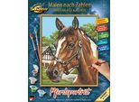 Malen nach Zahlen SCHIPPER "Meisterklasse Klassiker - Pferdeportrait", bunt, Malvorlagen, KinderB:24cm H:30cm, Malen nach Zahlen, Made in Germany, B:24cm H:30cm