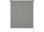 Seitenzugrollo "Tageslichtrollo Tizia", grau (anthrazit), B:100cm H:150cm, Polyester, SCHÖNER WOHNEN-KOLLEKTION, Rollos, Seitenzugrollo, geklebt, geklemmt, silberne oder weiße Rollo-Technik