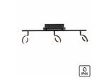 PAUL NEUHAUS Deckenleuchte "SILEDA", grau (anthrazit), 3, H: 19cm, 1 Stk., Leuchten, inkl. festverbaute LED, IP44, Spotköpfe dreh- und schwenkbar, Deckenleuchte