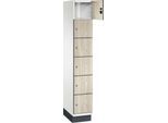 C+P Schließfachschrank Cambio, 1 Abteil, 6 Fächer, mit Sockel, B 300 x T 525 x H 1980 mm, verkehrsweiß/Sen Esche‑Dekor