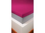 Spannbettlaken BELLANA "bellana deluxe für Topper, mit Elasthan, Premium Jersey 230 g/m²", fuchsia, 1 Stk., Jersey, 100x200 100x210 100x220 110x200 110x210 110x220 120x200 120x210 120x220 90x200 90x210 90x220 10cm, Jersey, Obermaterial: 95% Baumwolle, 5% Elasthan (LYCRA), Bettlaken, Spannbettlaken, mit 5% Elasthan, für Topper mit 4-10cm Höhe, bügelfrei, faltenfrei