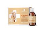 RECOACTIV Recovery Renal für Katzen, hochkalorisches Diät-Alleinfuttermittel, zur Unterstützung der Nierenfunktion 270 ml