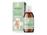 RECOACTIV Recovery Immun für Katzen, hochkalorisches Diät-Alleinfuttermittel, appetitanregend 280 ml
