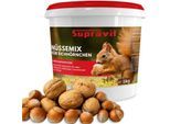 Supravit Frische Nüsse-Mix Eichhörnchen Futter 1kg | Ganzjahresfutter für Eichhörnchen