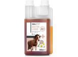 REAVET Gastro Liquid für Pferde 500ml