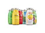 SmoothieDog Mix 12x250 ml