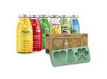 SmoothieDog Mix 6x 250 ml + Eisform
