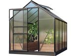 Gewächshaus VITAVIA "Venus 5000", schwarz, B:195cm H:197cm T:257cm, Gewächshäuser, Gewächshaus, Alu-Profile, 6 mm Hohlkammerplatten